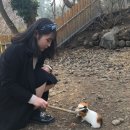 조원목장 이미지