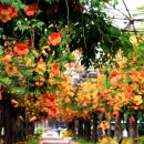 중앙공원 주차장정문 이미지