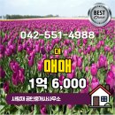 계룡공인중개사사무소 이미지