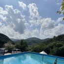 로로포레 이미지