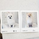 아뜰리에 멍 이미지