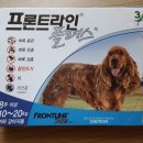 24시스마트동물메디컬센터 이미지