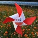 금동초교병설 이미지