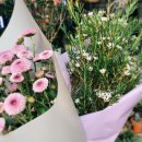 마리앙뜨와 네일 | 일상 ( 언니다방,어버이날,한우관,아람이네캠핑,부산데이트,스메그,마리앙뜨플라워,네일퀸,언니스다방)