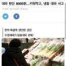 대파 한단 8000원…키워먹고, 냉동 대파 사고 이미지