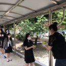 포항여자고등학교 이미지