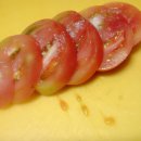 오도교차로 이미지