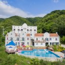 로로포레 이미지