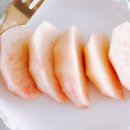 초아농원 네이버블로그