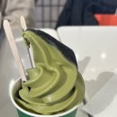 나무와바다
