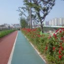 수완호수공원 이미지
