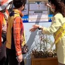 장성건강약국 네이버블로그