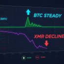 [주말] 챗GPT기초 및 활용 이미지