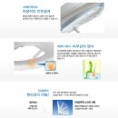 비데랜드 이미지