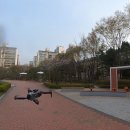 재궁공원 이미지