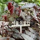 마곡11 나무햇살어린이집 | 마곡 서울식물원 주차 입장료 온실 후기까지! 가족 나들이 기록