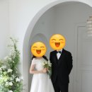 덩쿨 | (스튜디오06) 비마이스튜디오 촬영후기 덩쿨꽃장식과 아치형 흰벽 배경