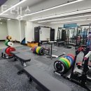 소녀스트렝스 이미지