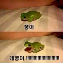 유쾌한접시 - 강남구 압구정로2길 60 | 유쾌한접시