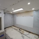 서울애견 미용실 이미지