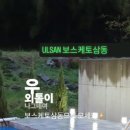 보스케토 삼동 이미지