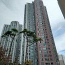 전하시장 이미지