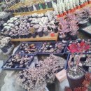 화해농장 이미지