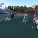 즐거운펜션 이미지