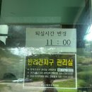 [경기/양평]애견동반 국공립 휴양지 산음자연휴양림 반려견지구(동경이후기)