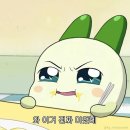 주정차-17 | 일찍 일어나는 새가 두쫀쿠🍪를 얻는다❗️🤸🏻‍♂️ ㅣ대전 미미제과점, 시오네베이크샵
