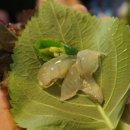 황제세꼬시 이미지