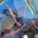 황제능이버섯백숙ㆍ남원추어탕 | 아산 탕정 맛집 황제능이버섯백숙 남원추어탕(탕정 해신탕 맛집)