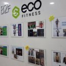 에코 휘트니스 이미지