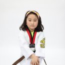 봉화태권도장 이미지