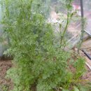 무지개회집 이미지