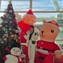 금호공설시장 | 12.23.~12.25.(해피 제주 크리스마스♡)