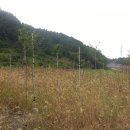 명화농장 이미지