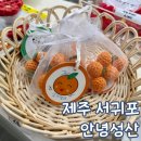 성산 | 제주 서귀포 성산일출봉 소품샵 안녕성산 내돈내산 후기