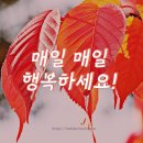 밀양 대추. 축제10.20 ~ 22까지 합니다~~ 이미지