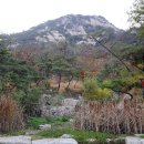 인왕산수성동계곡 Daum카페