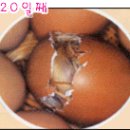 새실산업 Daum카페