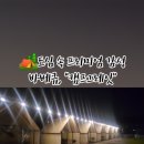 캠프그레잇(Camp GreEAT)