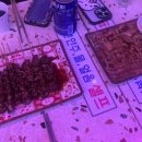 혜정축산 네이버블로그