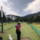 10/26(일)금호리조트파크골프장 이미지