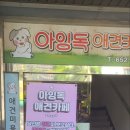 아잉독애견카페