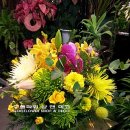 동탄나무치과의원 이미지