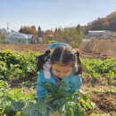 미예뜰유치원 이미지