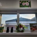 삼성초등학교 후문 앞2 이미지