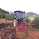 정일품농장 이미지