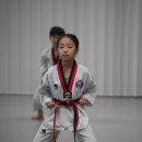 강철 학운 태권도 이미지